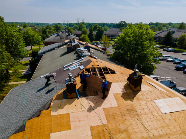 Best Roof Gutter Cleaning  in Crockett, TX